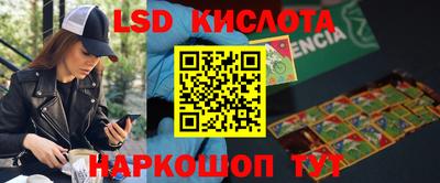 стаф Тверь