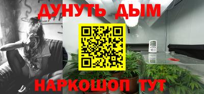 стаф Тверь